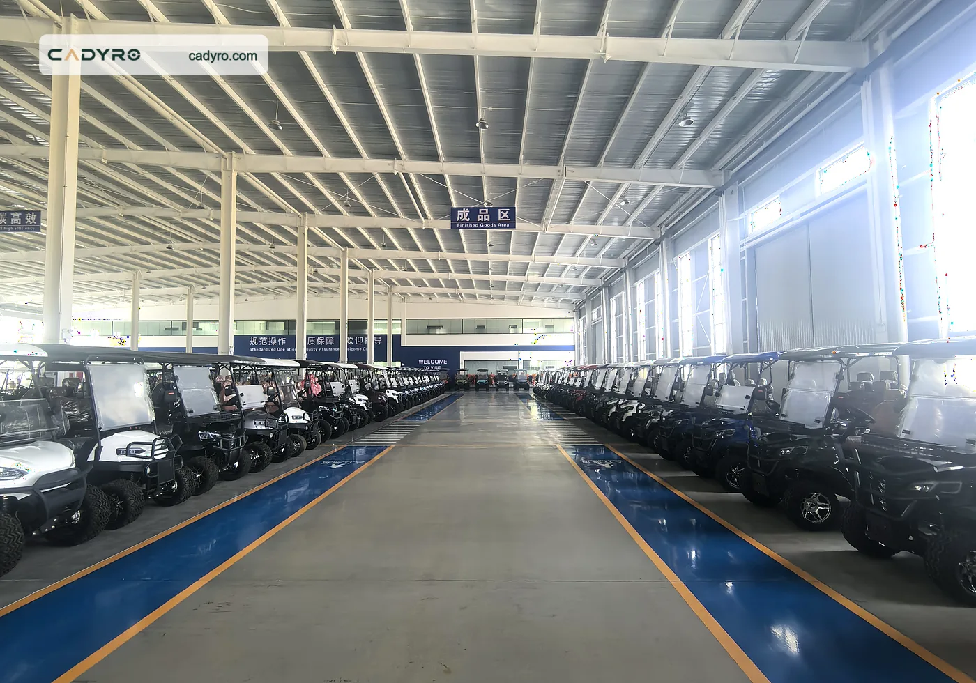Finished Cadyro electric golf carts lined up for inspection